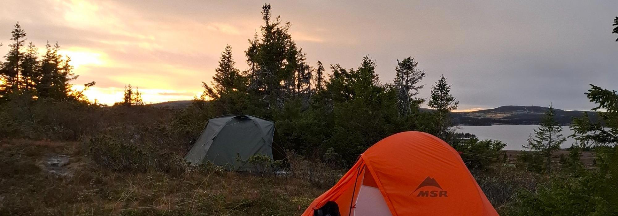 Natt i naturen på fjellet
