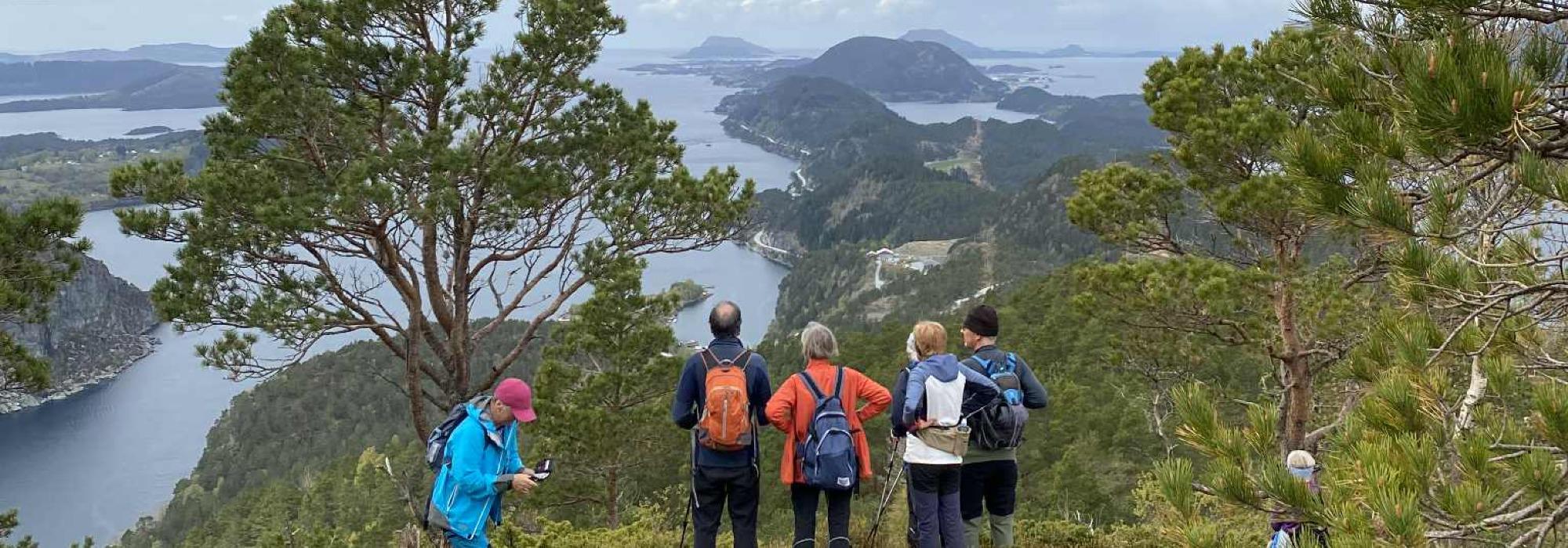 Tysdagstur til Uførefjellet