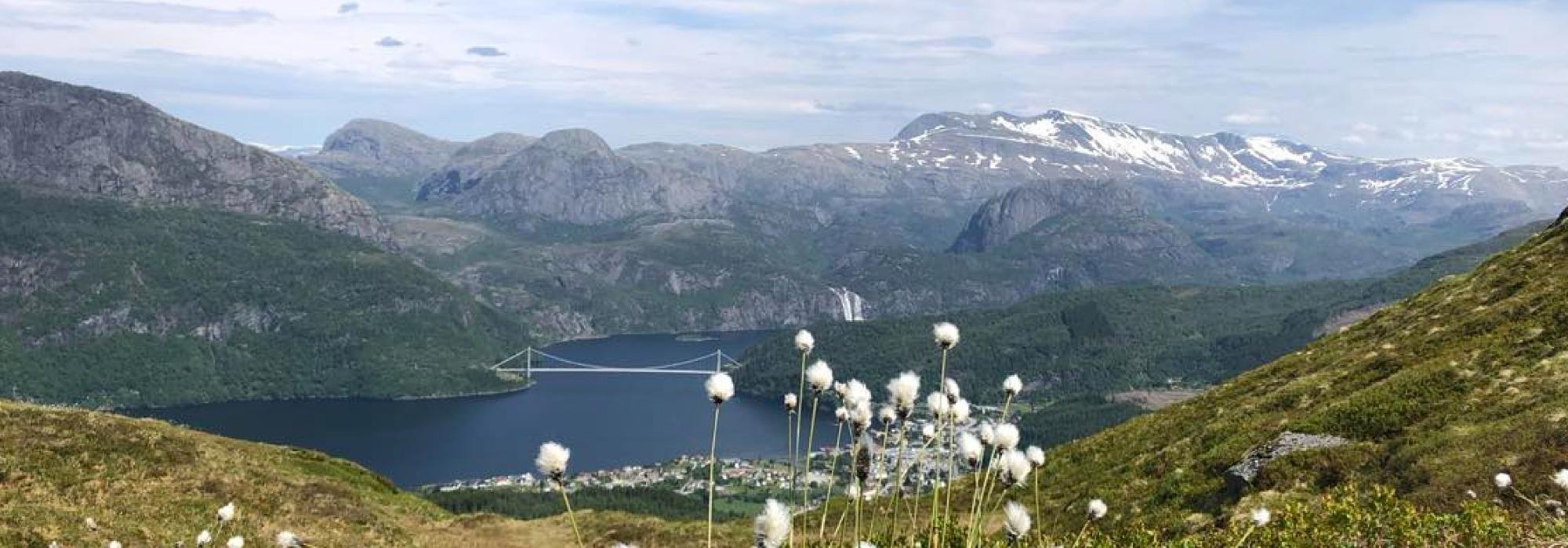 Tysdagstur på Jarstadheia (Dale)