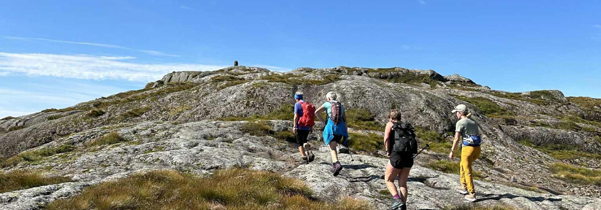 Tysdagstur til Bergsheia