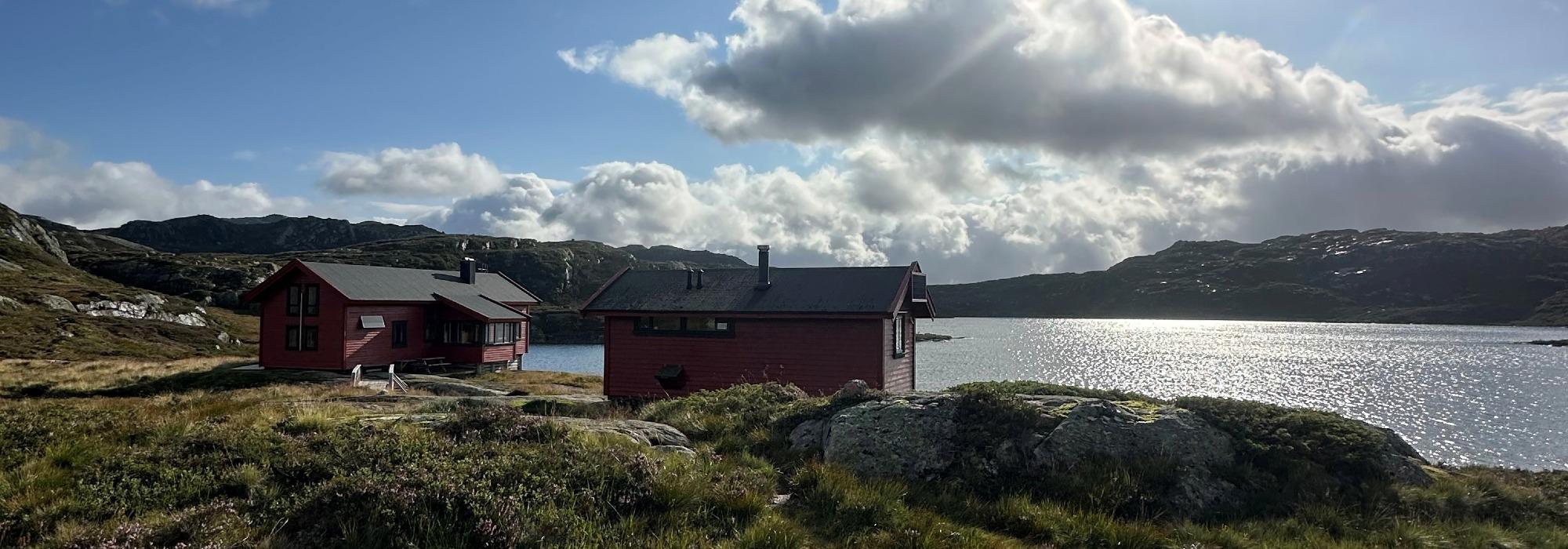 Huleboertur med DNT ung