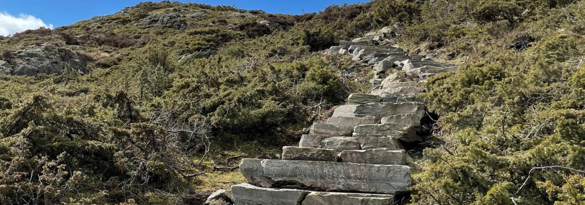 Seniortur - Kongsfjellet, Bekkjarvik