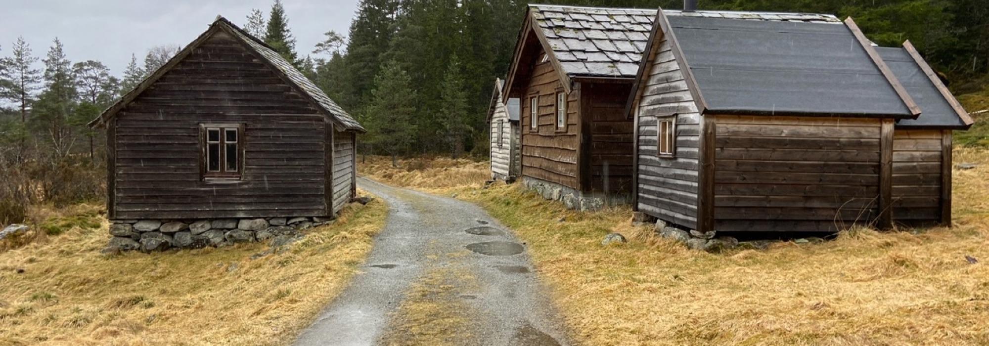 Seniortur - Ænesdalen