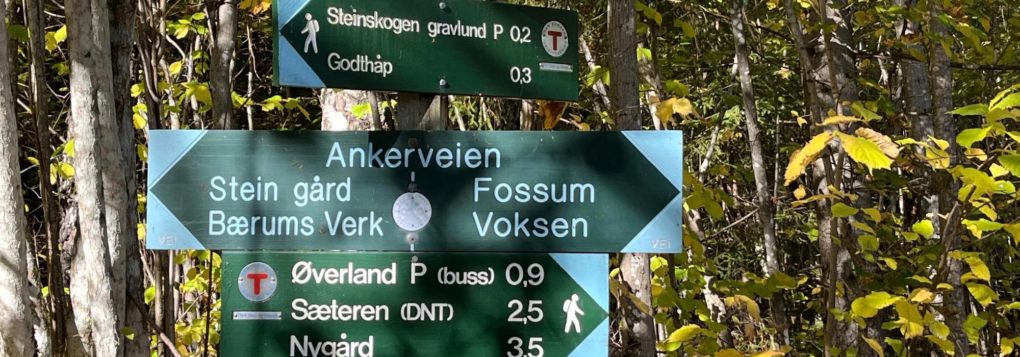 Aktiv i 100 fredager fra Steinsskogen