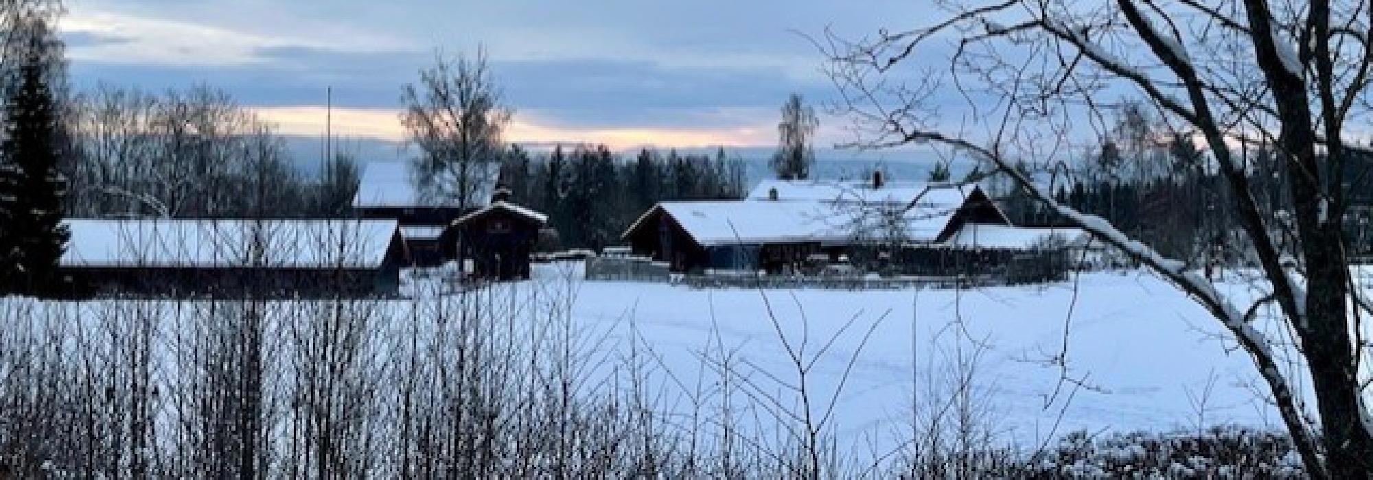 Aktiv i 100 Fredager fra Steinsskogen