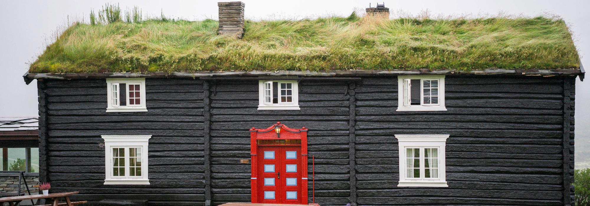 Rondane med besteforeldre (7-12 år)(BT26)