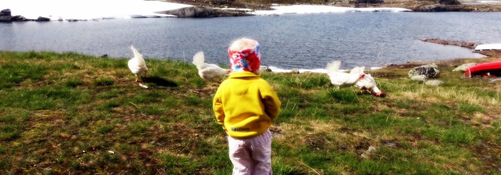 Besteforeldretur på Geiterygghytta (7-12 år)(BT26)