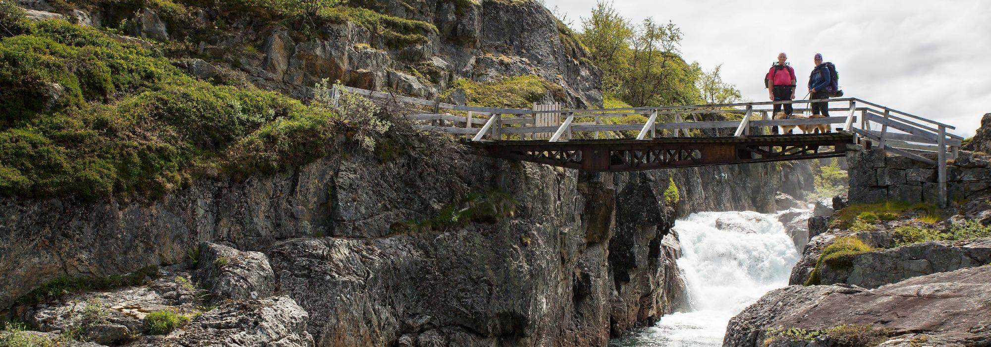 Hardangervidda light: Hjølmo-Vivelid-Hadlaskard- Hedlo-Hjølmo
