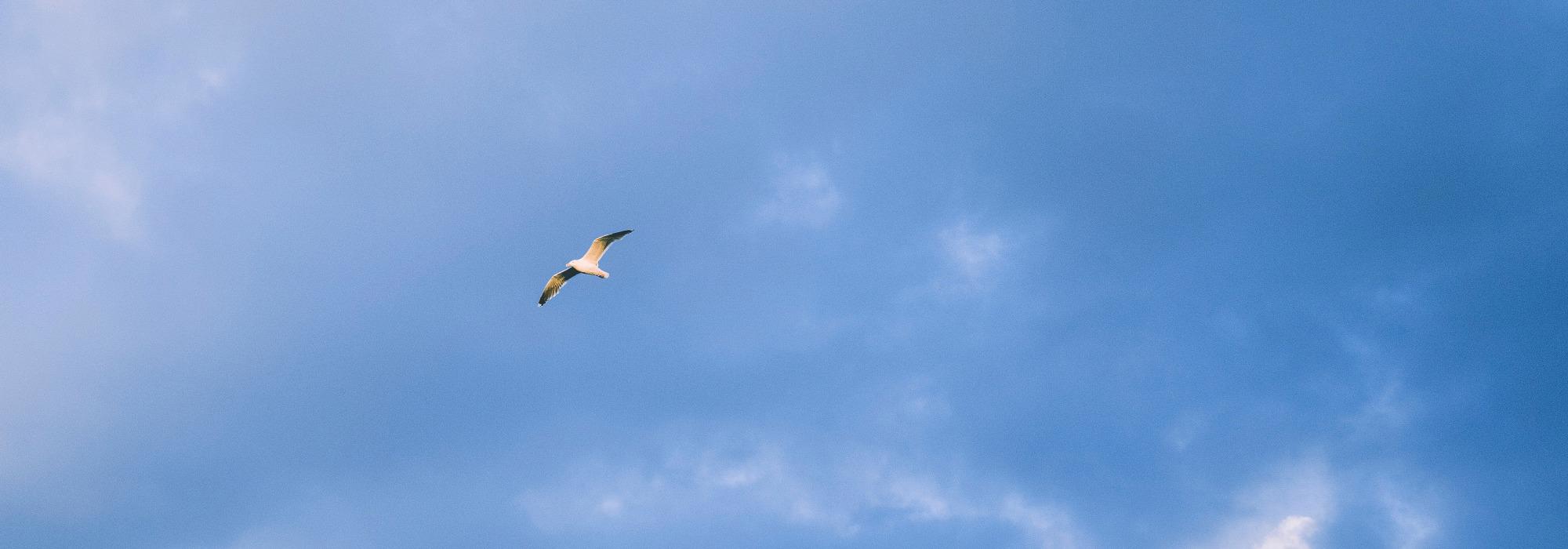 Karlsøyene rundt - Seniorgruppe