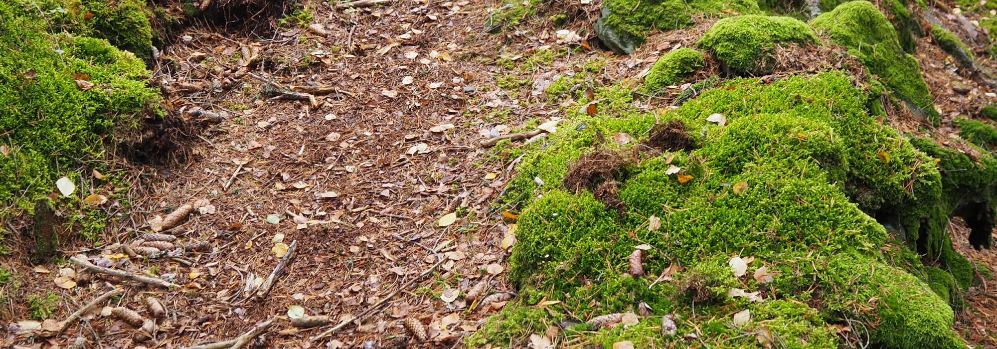 Rundtur langs Vansjø - Seniorgruppa