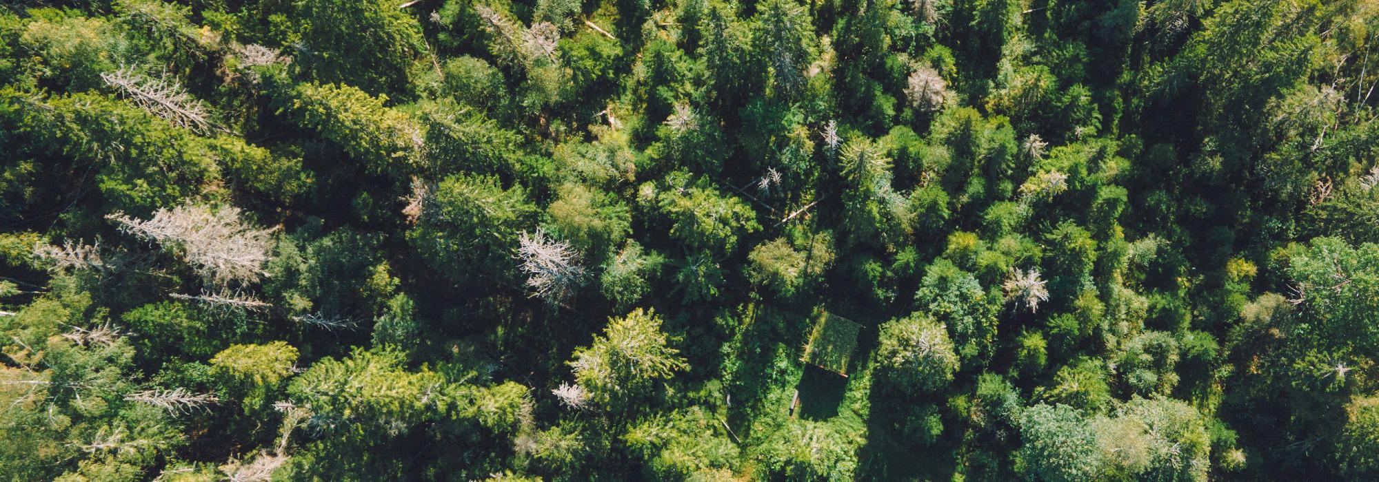 Rørfjell, Råde - Seniorgruppa