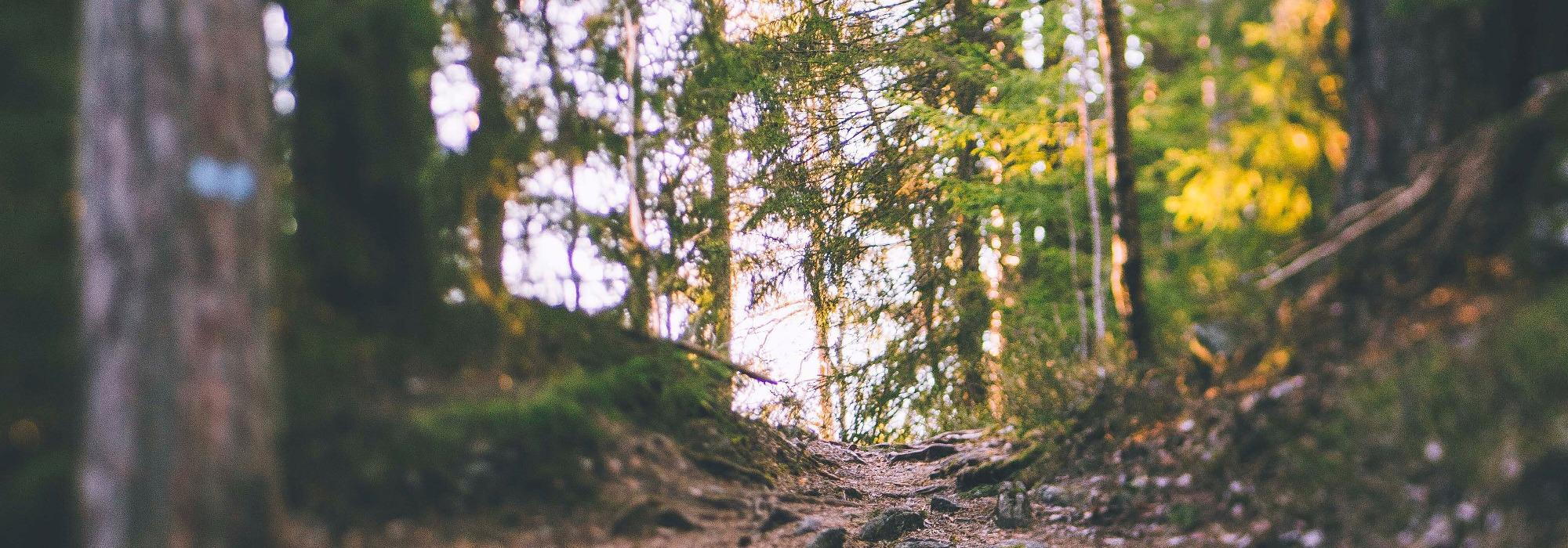 Langs Glomma i vårbrus - Seniorgruppa