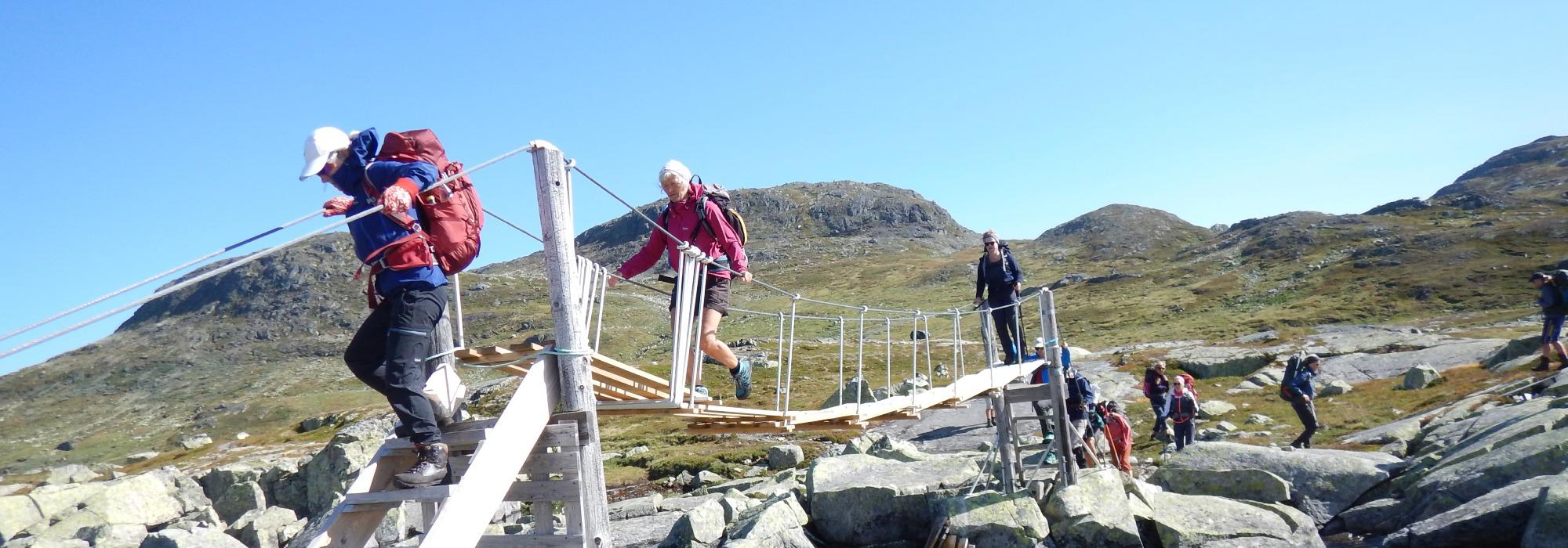 Hardangerjøkulen rundt med DNT Romsdal 10.juli til 20.juli
