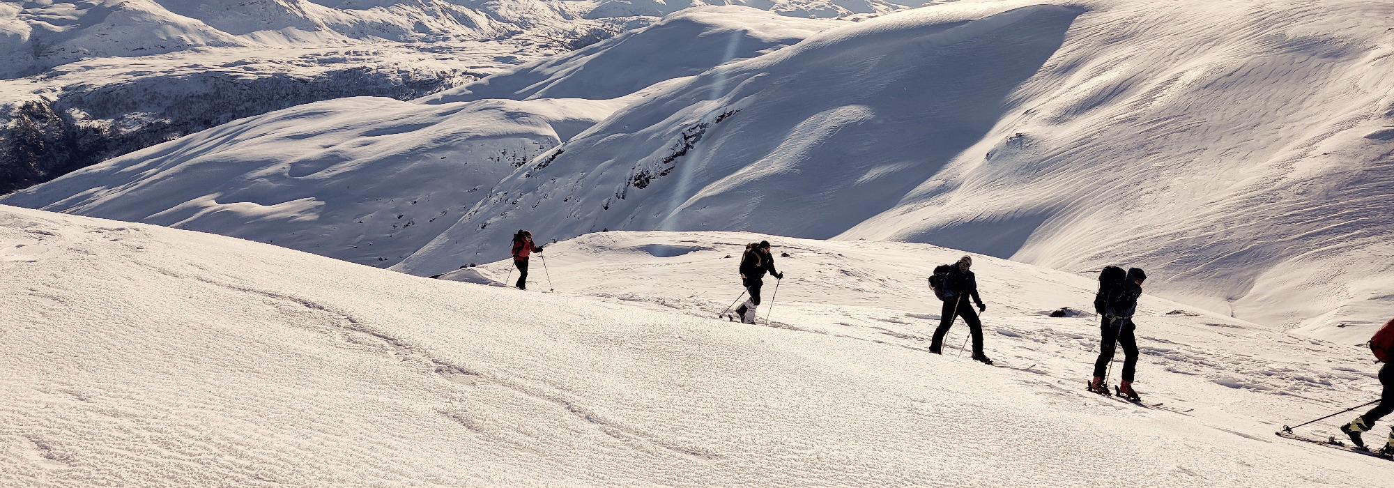 Topptur til Snønipa 1827 moh via Haugabreen