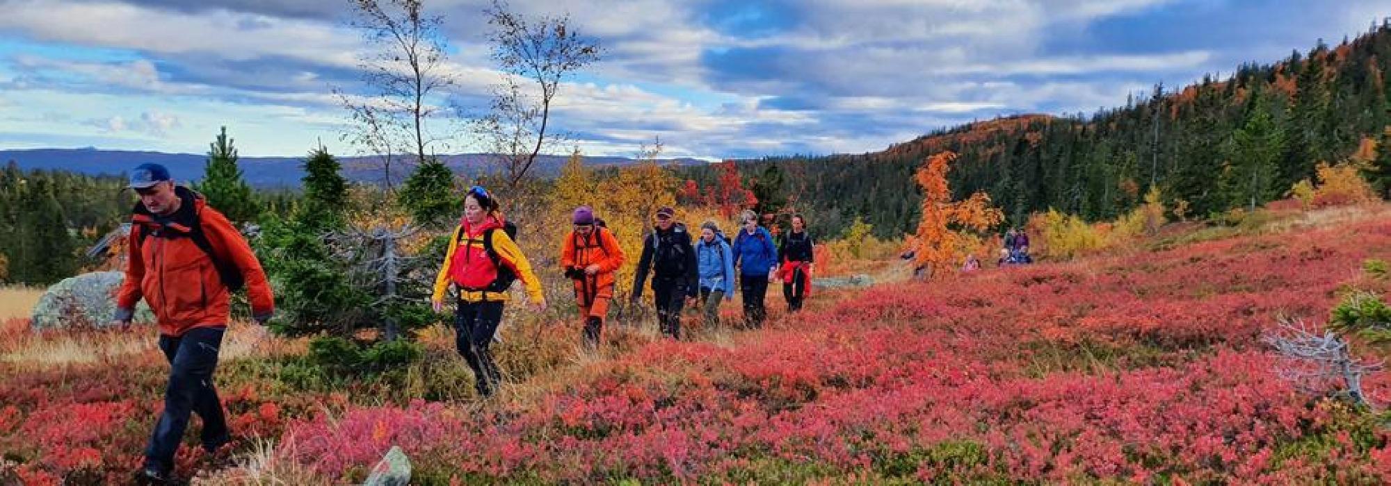 AKTIV: Dagstur Solhomfjell, Gjerstad