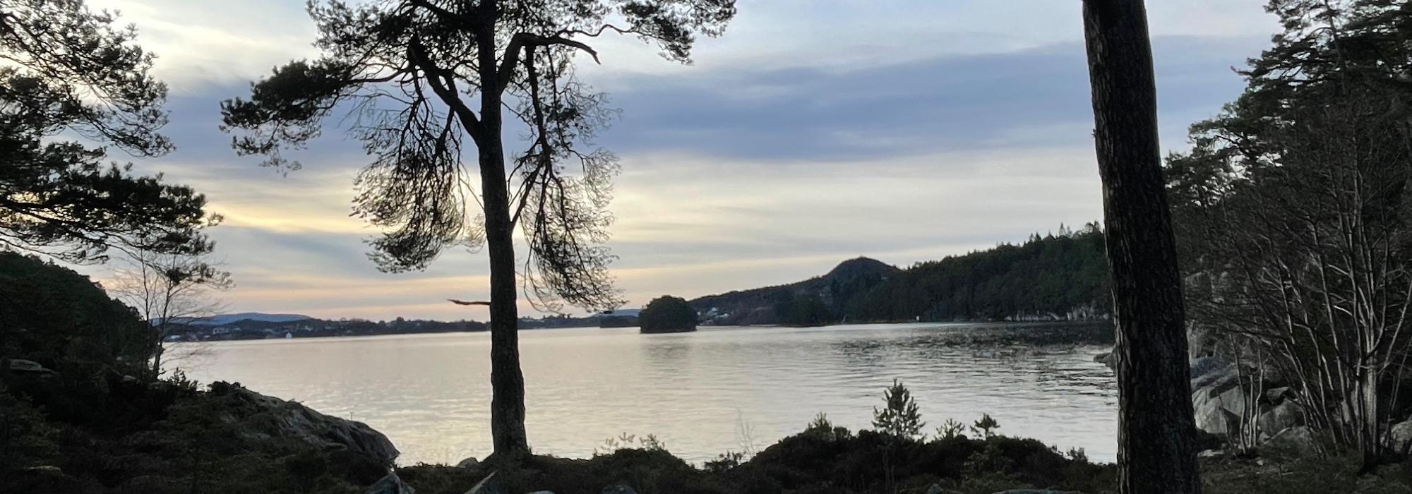 Friskustur Ullsundet