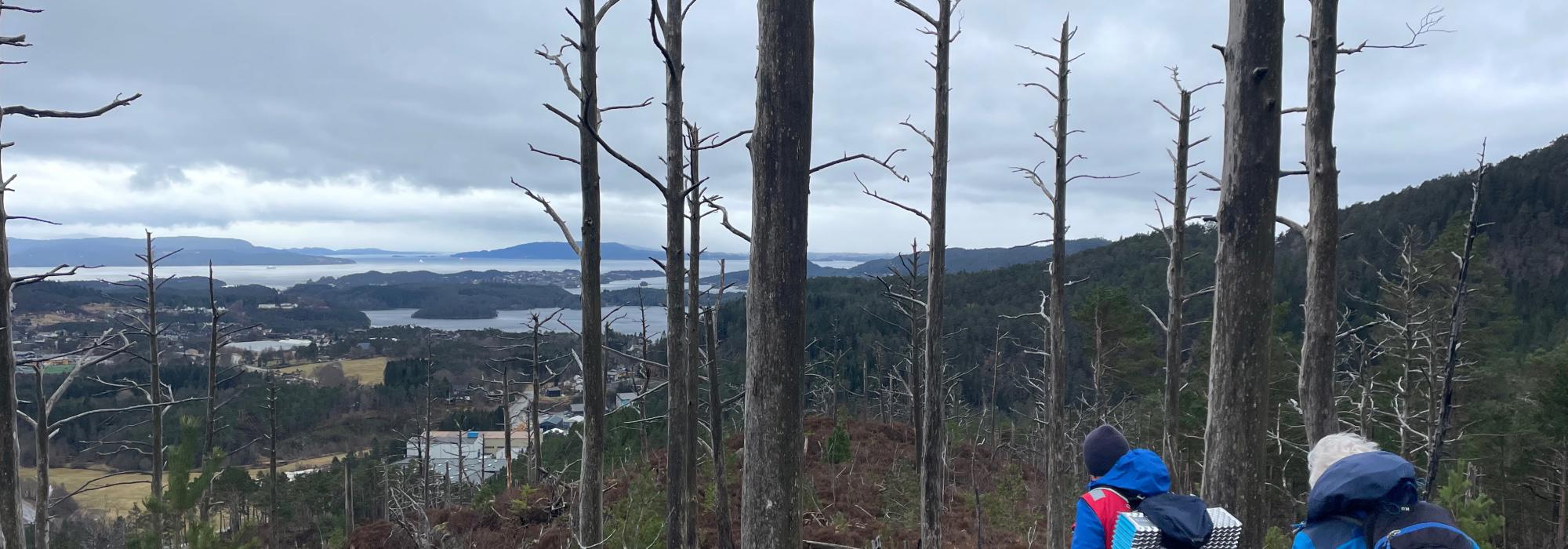 Friskustur Vetlafjellet og Ulvenfjellet, rundtur