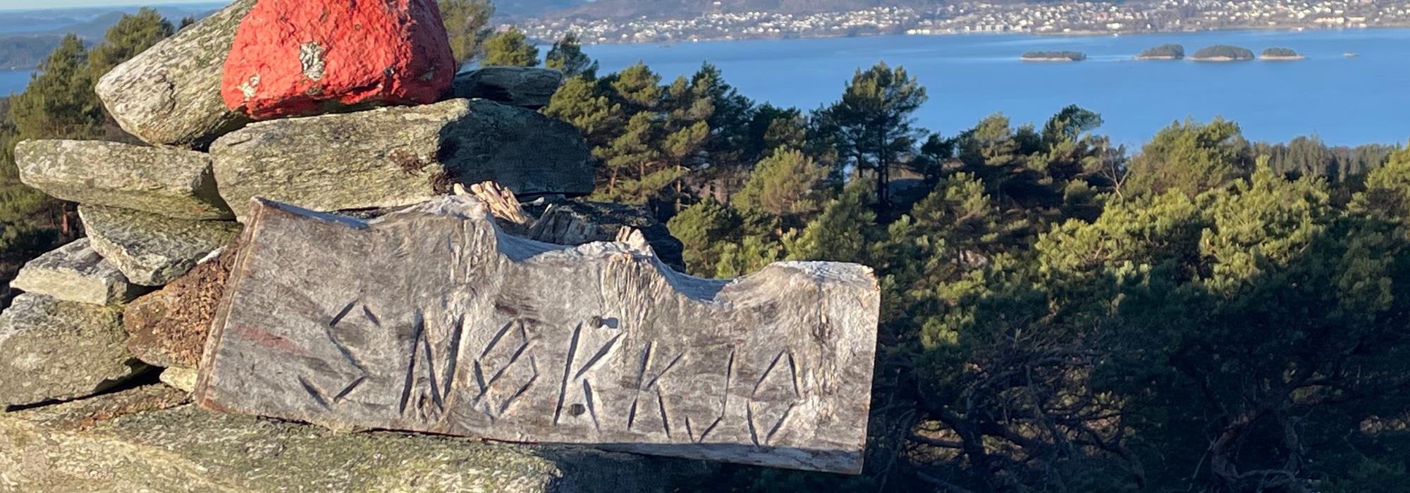 Ostrimmen: Snøkkjo