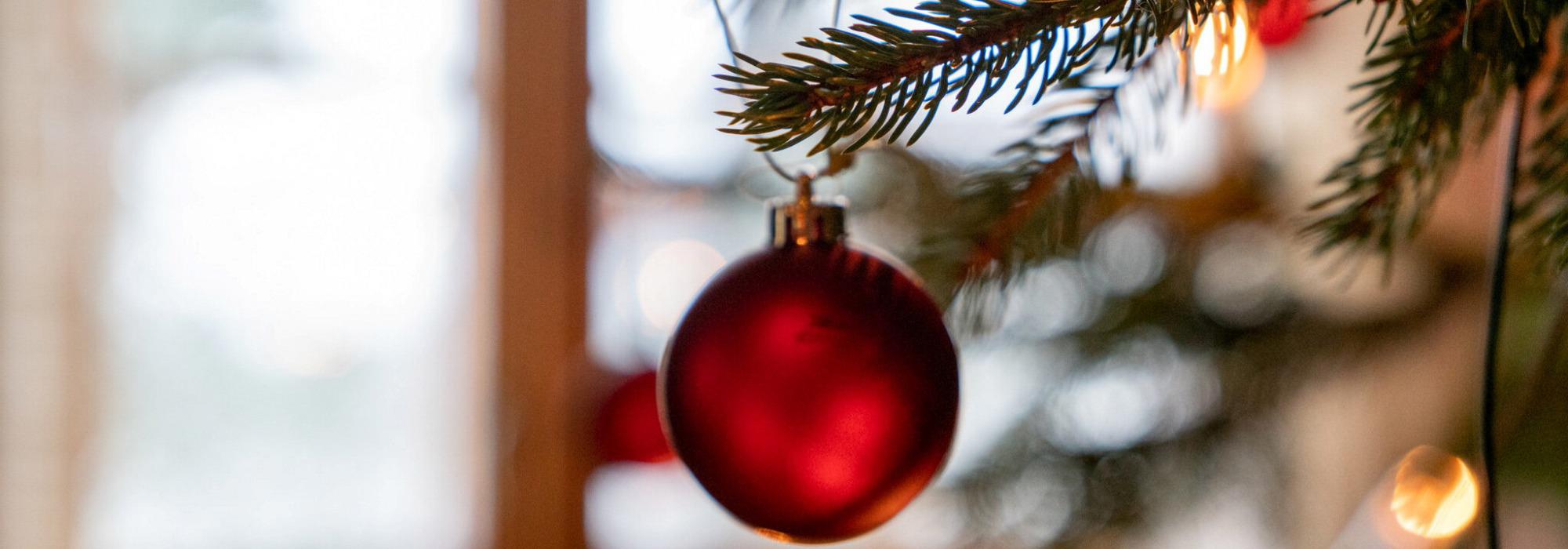 Trilletur: Store Lungegårdsvannet