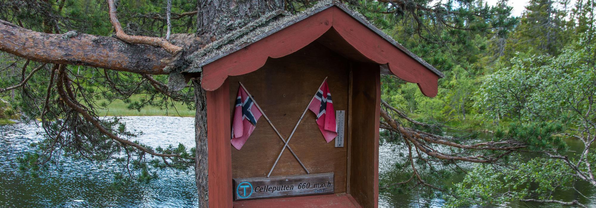 Ut på tur Eiker: Celleputten, Holtefjell