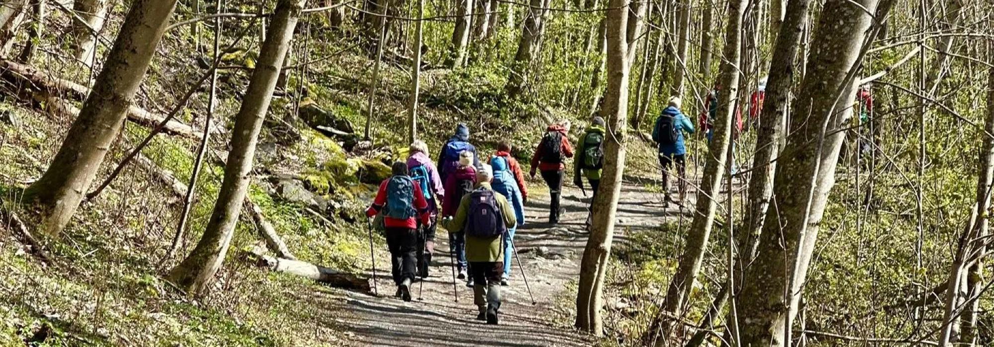 Veteranan Opptur og nedtur på Tyholt og Moholt*/**