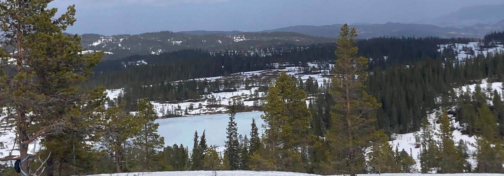 Veteranan Skitur på Søvasskjølen**