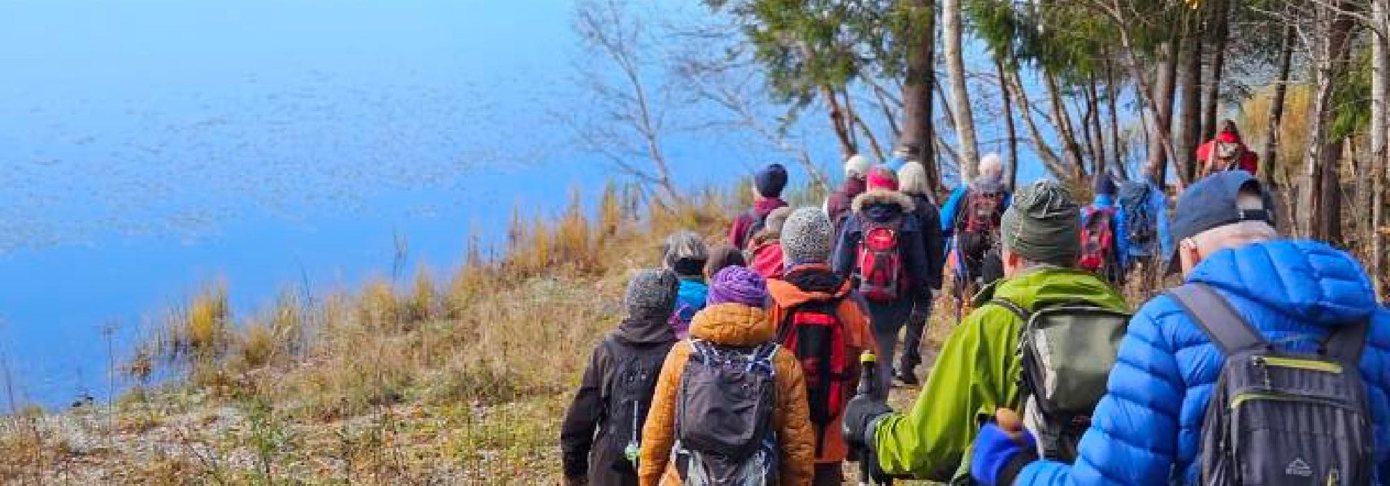 Veteranan Fra Selsbakk til Ilsvikøra via Uglabekken og Ilabekken**