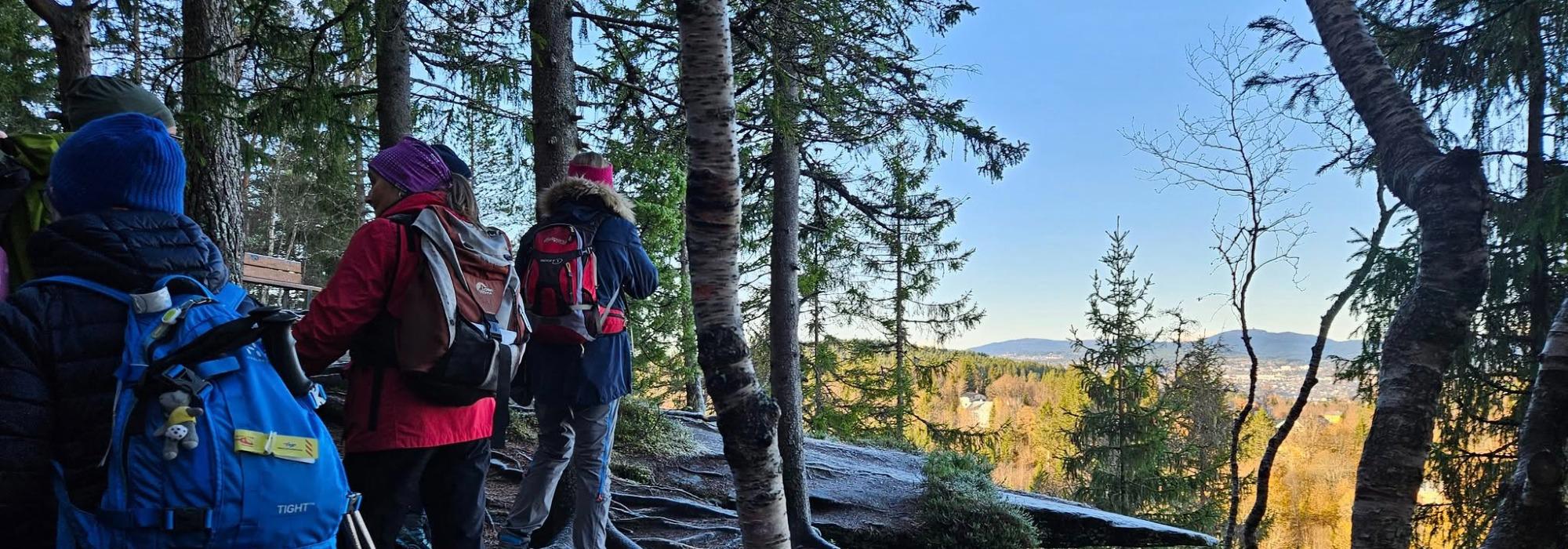 Veteranan Tur på Ladestien**