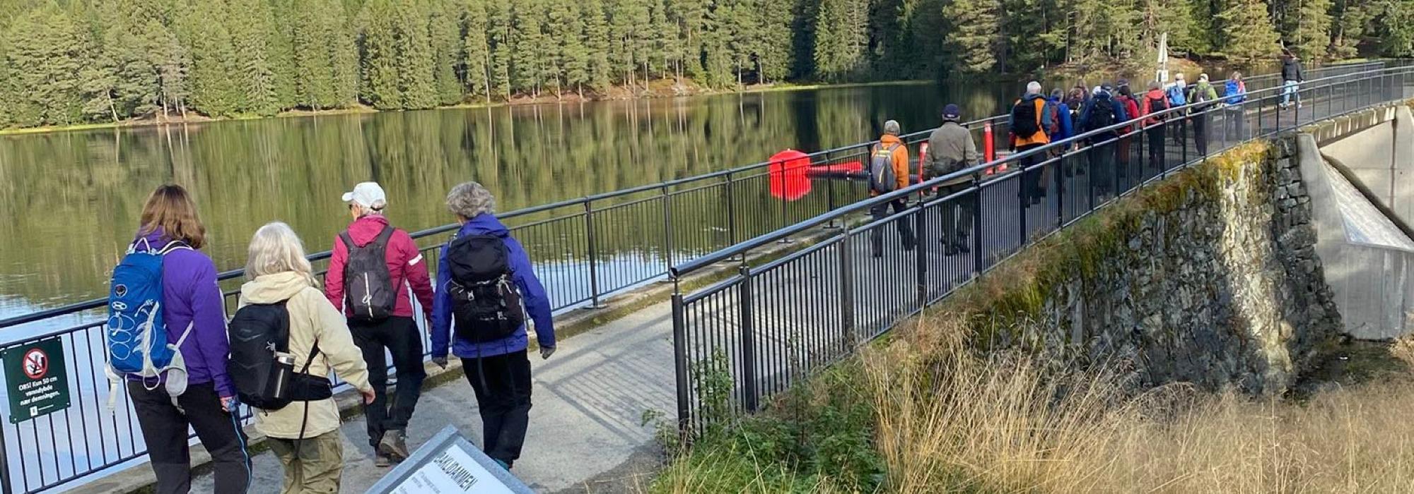 Veteranan Ilabergan og Høvringberget***