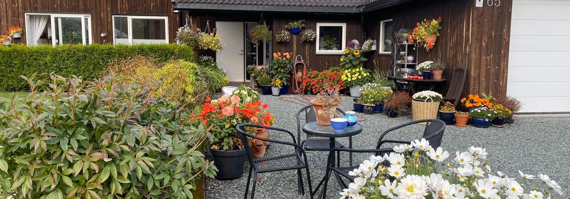 Veteranan Kulturtur på kryss og tvers på Ladehalvøya*