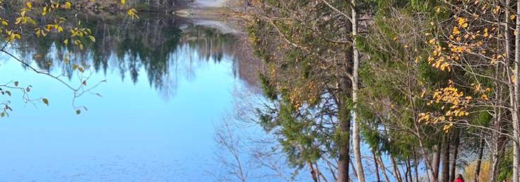 Veteranan Fire vann på Byneset**