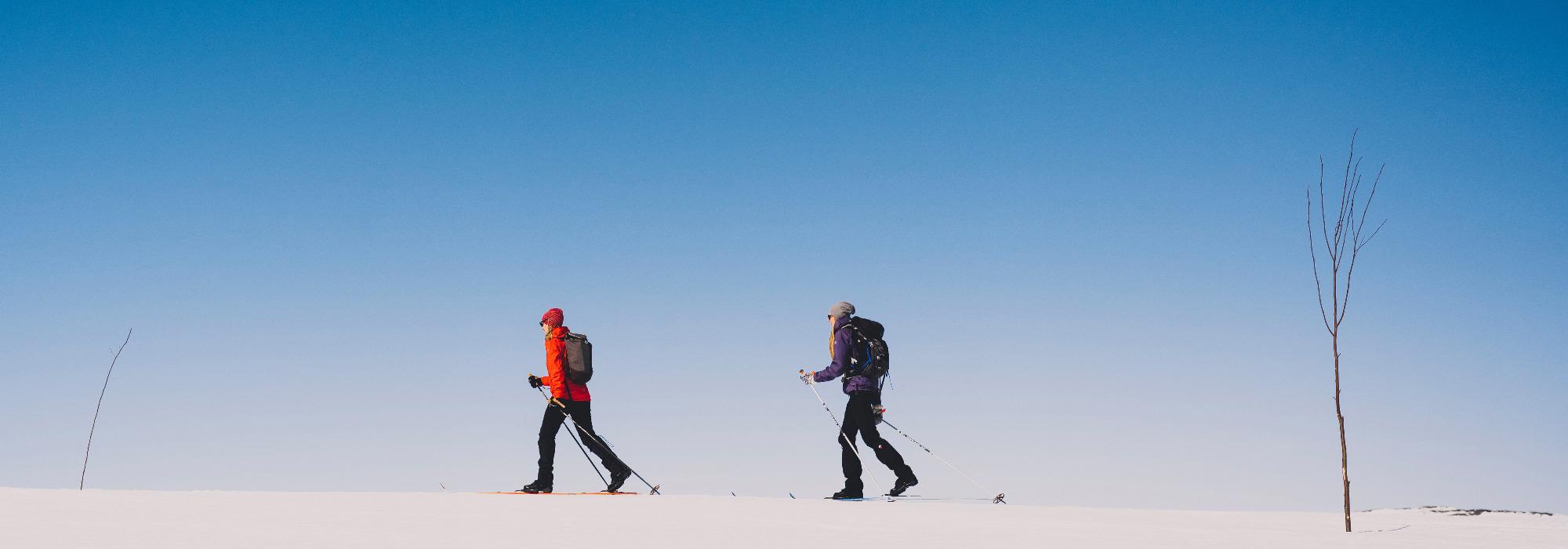 Skitur Trekanten på Hardangervidda øst