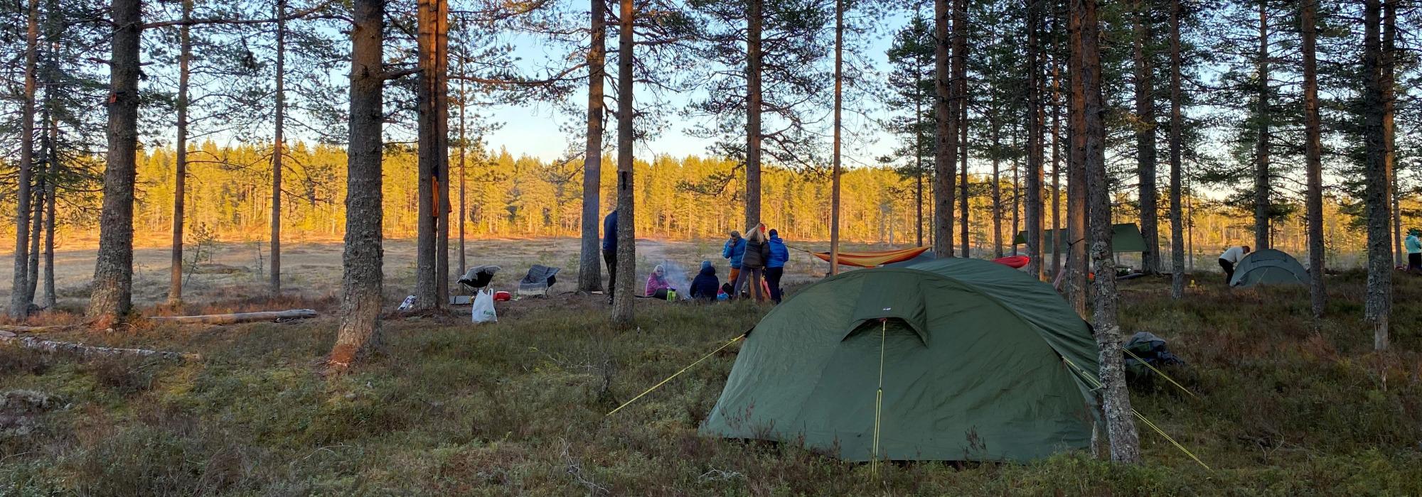 Barnas Turlag: Orrfuglleik i Ringsaker