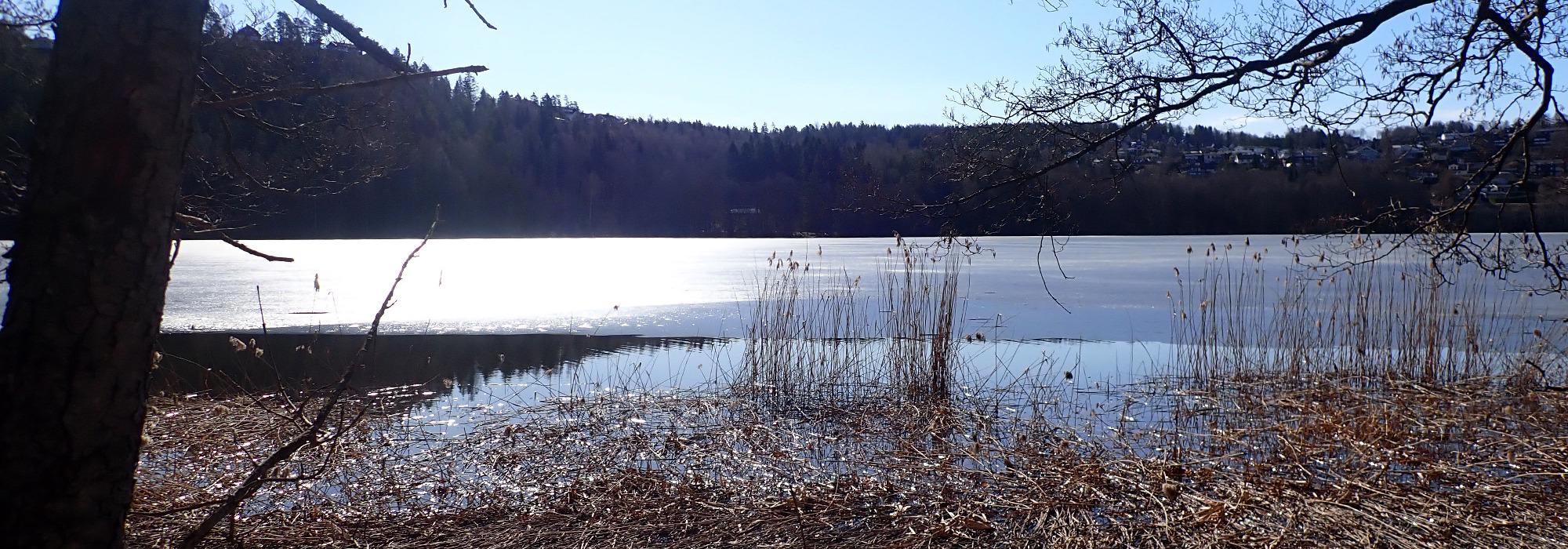 Seniorgruppas avslutningstur