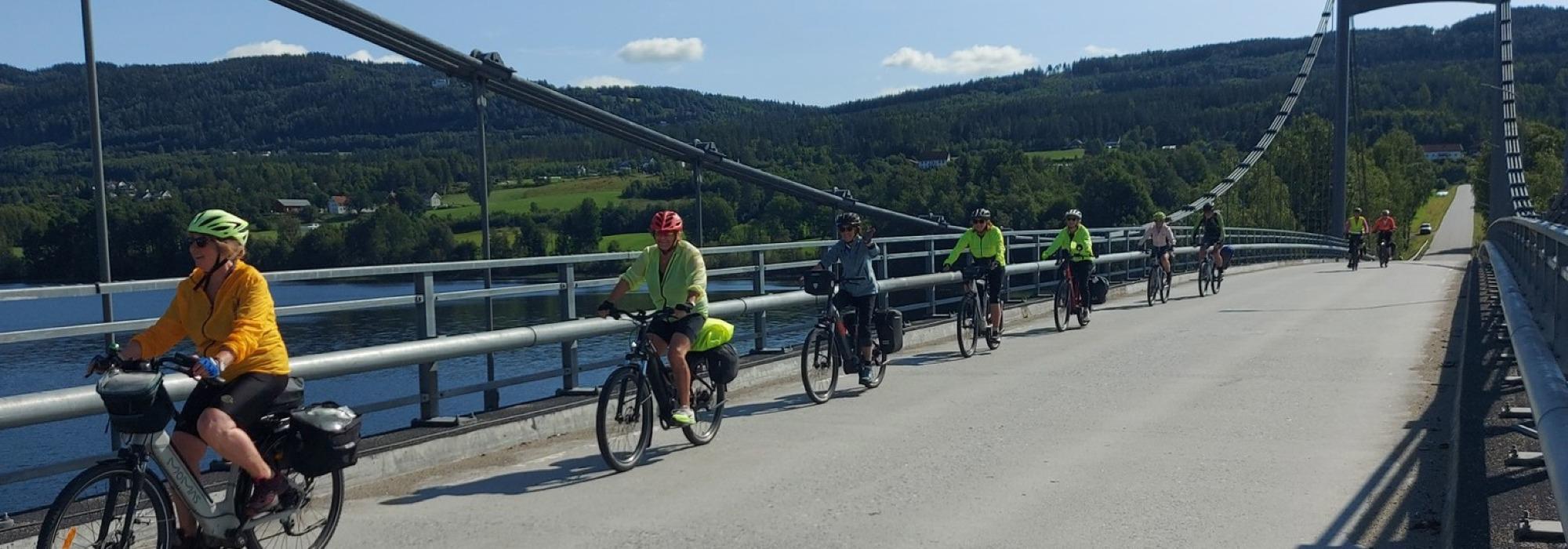 Seniorsykkel: Rundtur fra Drammen