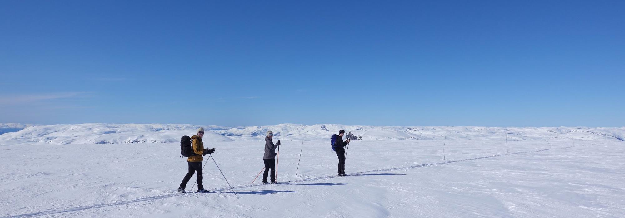 Fjellskitur fra Kaldavass til Finse via Vassfjøro (FJ26)