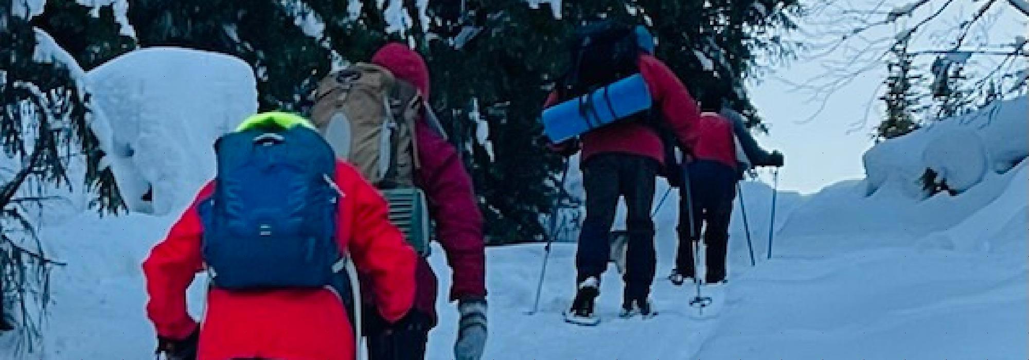 Trugetur frå Skiferbrotet i Rogne