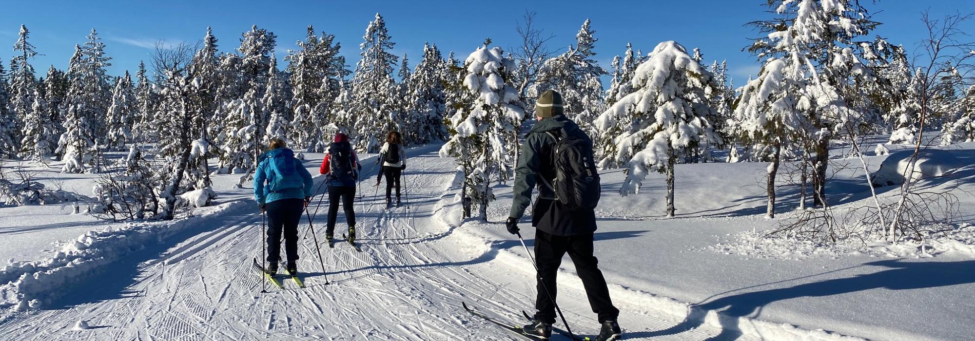 Lang skitur med overnatting på Katnosdammen (Vandregruppa, DNT Oslo 26–45 år)