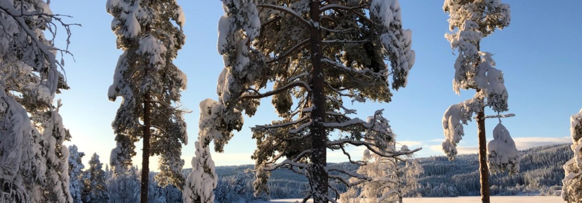 Onsdagstur til Osbakken kafe