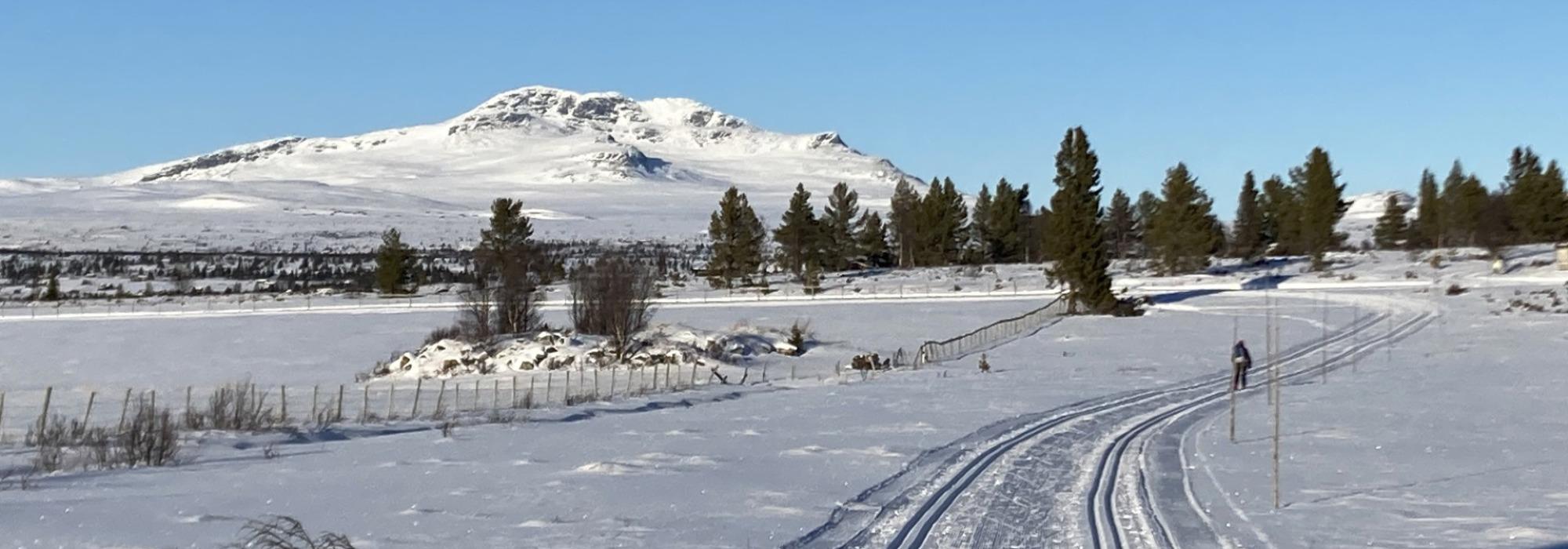 KDU-dagen: Skitur i Yddinområdet