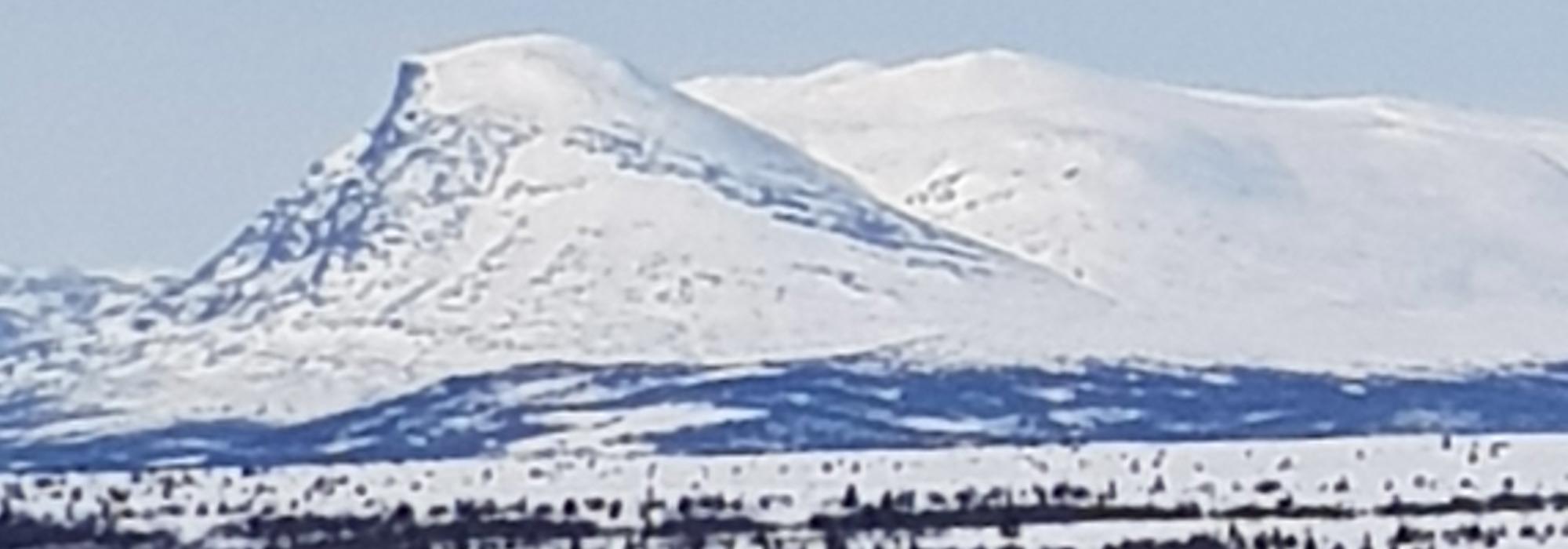 Trugetur til Gribbe i Tisleidalen