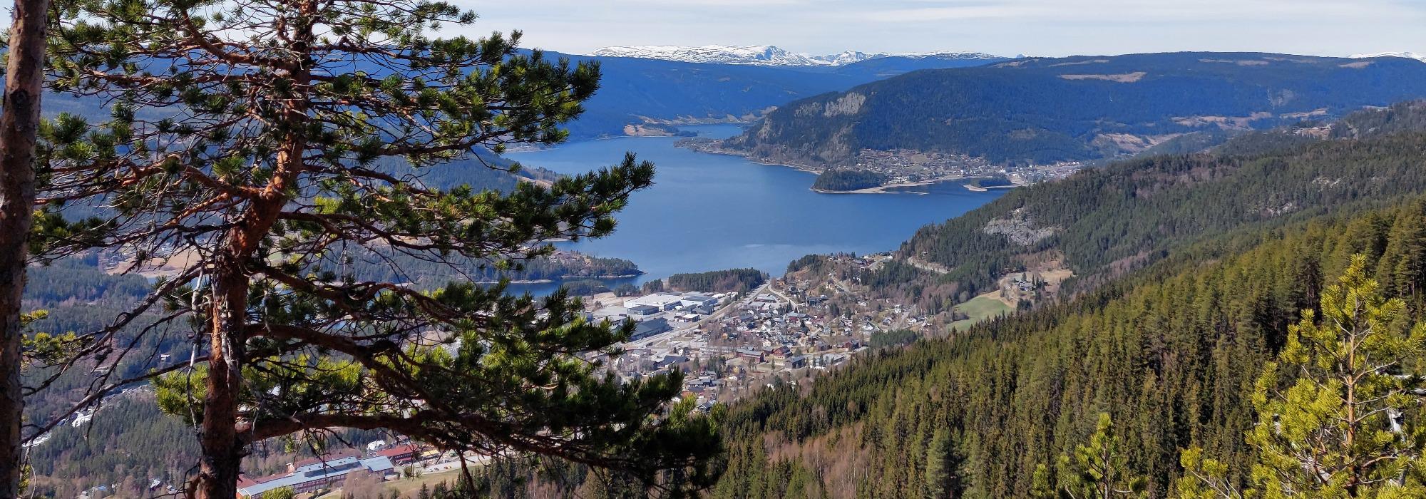 Onsdagssnerten: Kvitmøsaknatten