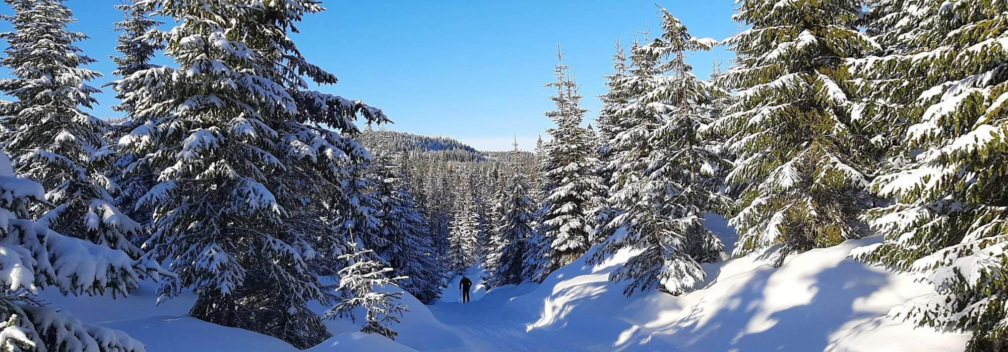 På ski til Damvokterboligen i hjerte av Nordmarka med Vandregruppa