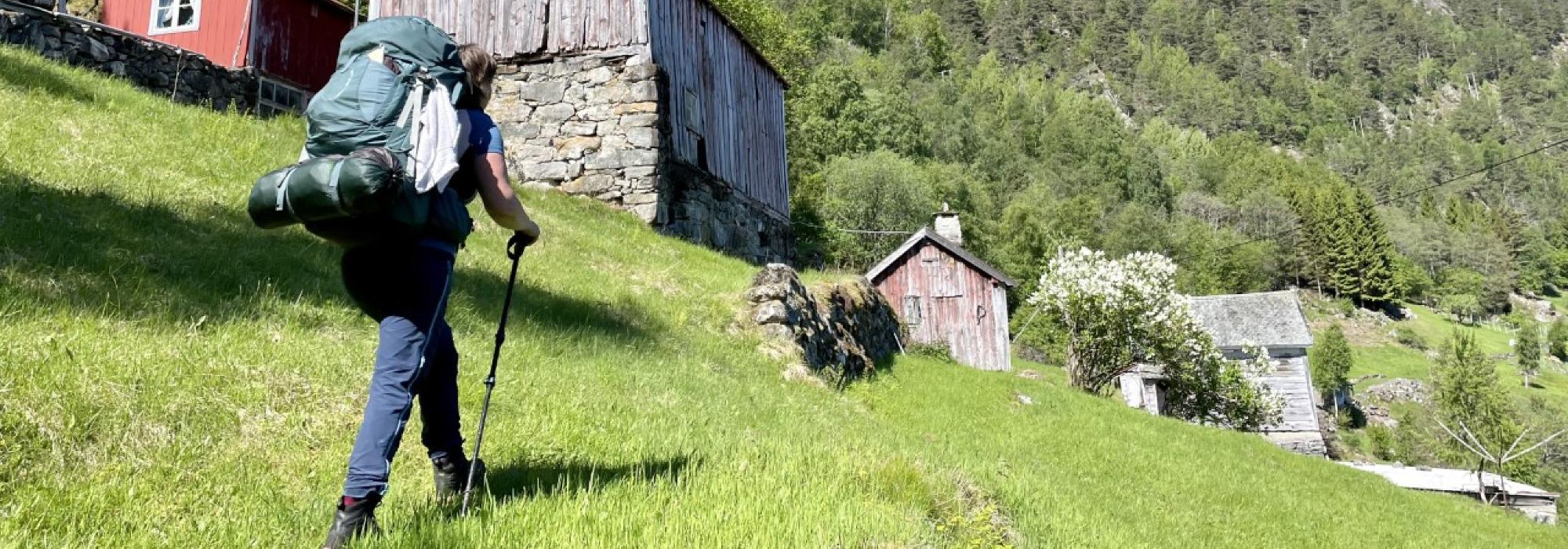 Der ingen skulle tru: Dagstur Ortnevik - Sylvarnes langs veglause strender