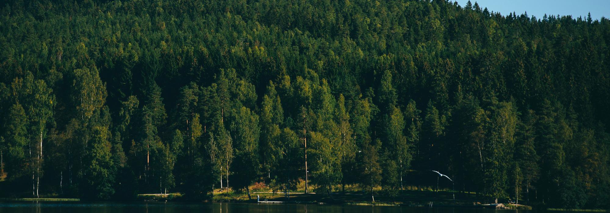 UTSIKT: Fra Skar til Øyungskollen