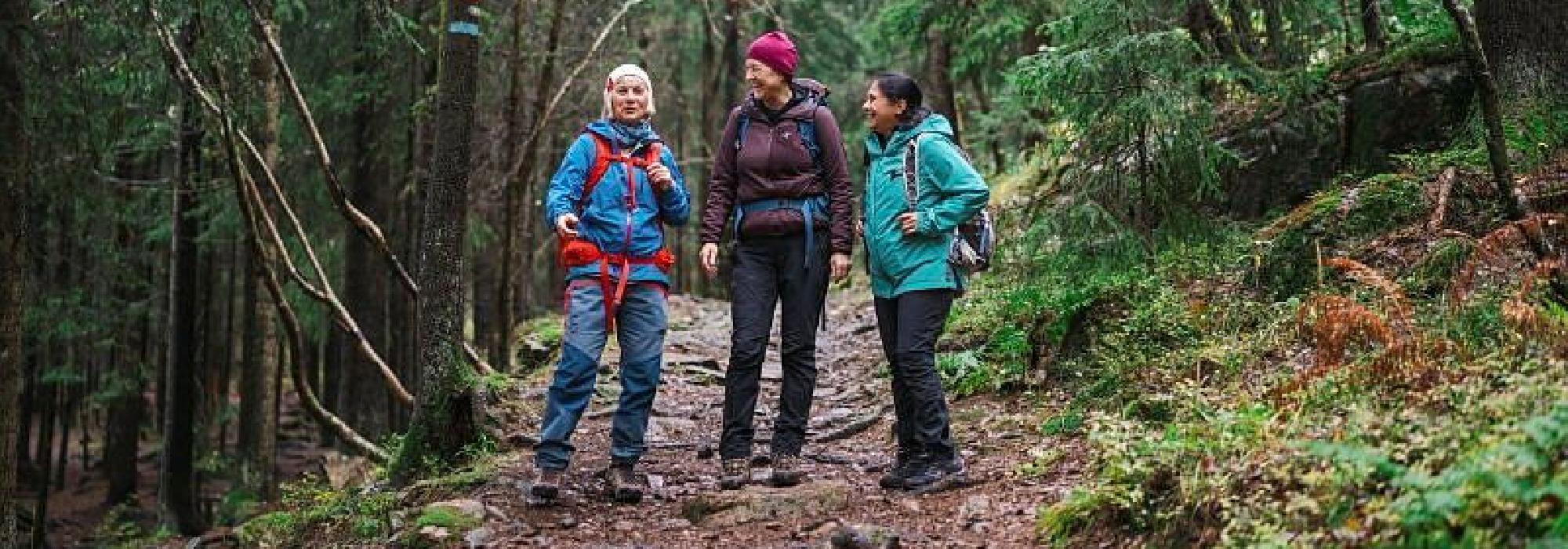 Utsikt: Svenskemuren og Oslos geografiske midtpunkt - med utsikt til dessert