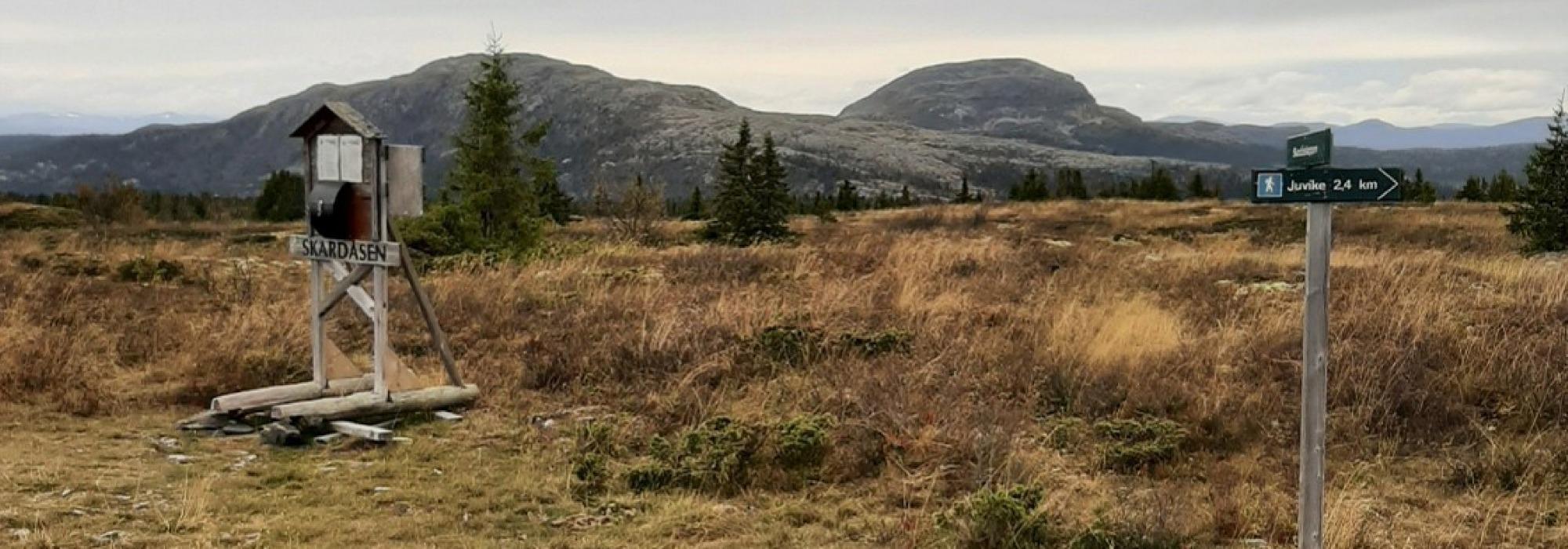 Rundtur til Sigloberget over Skardåsen
