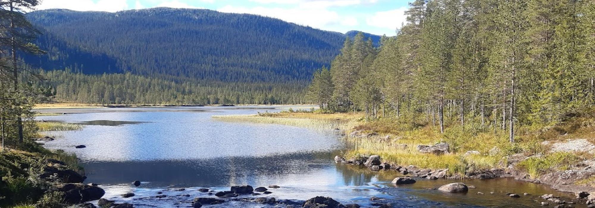 Sykkeltur i vakre Vassfaret