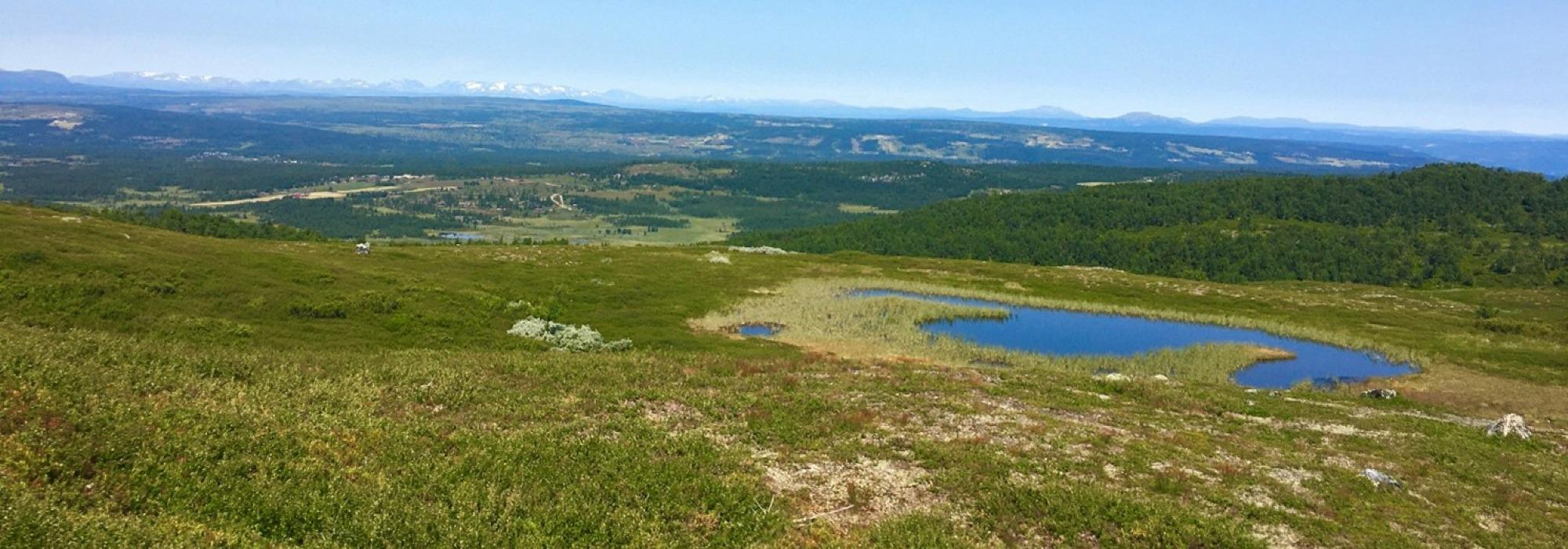 Fottur til Falken, topp på Golsfjellet