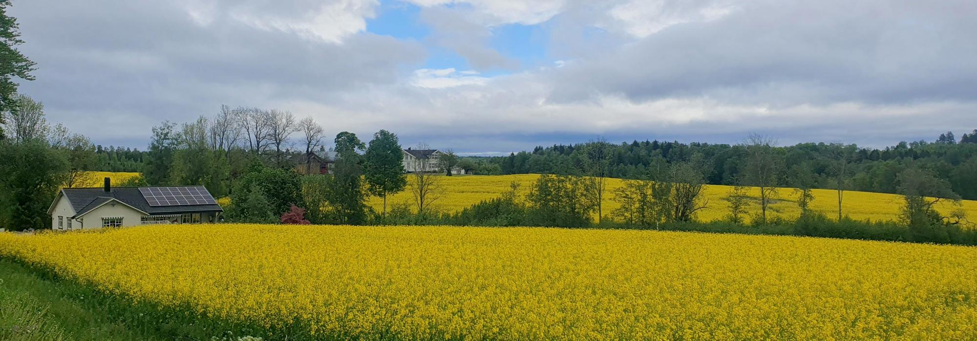 Fra Vestby til Ås gjennom Follomarka